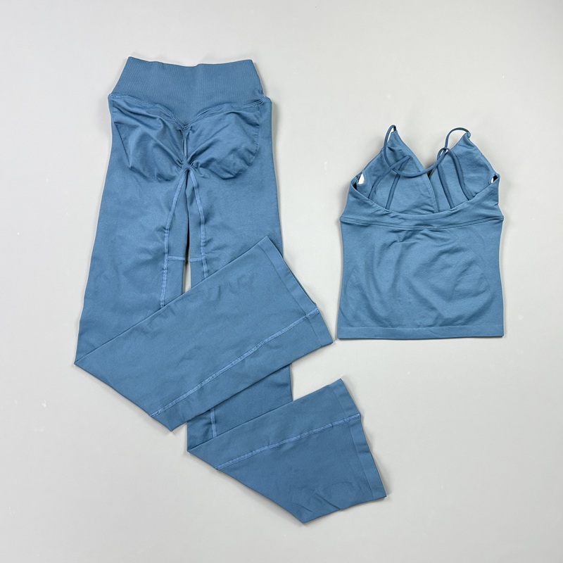 2-delig dames naadloze yogaset - Pilates Yoga Clothes recensie en prijs